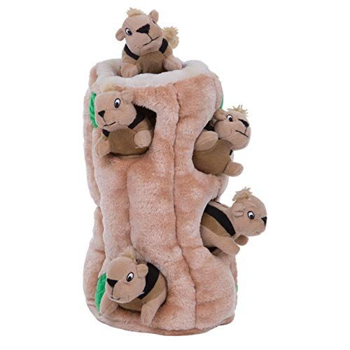 best dog toys amazon
